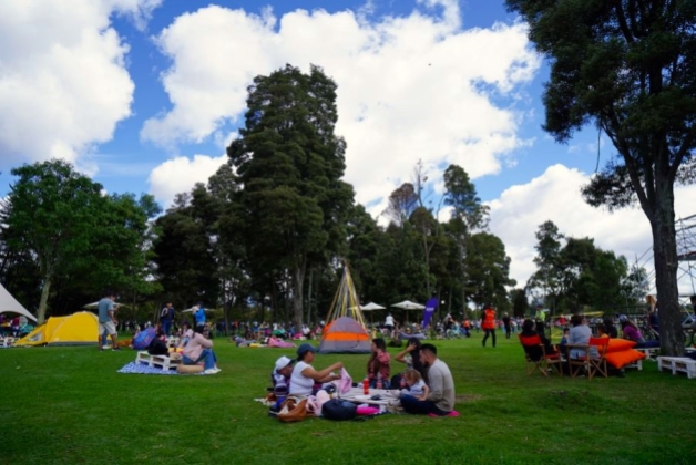 Festival Gastronómico