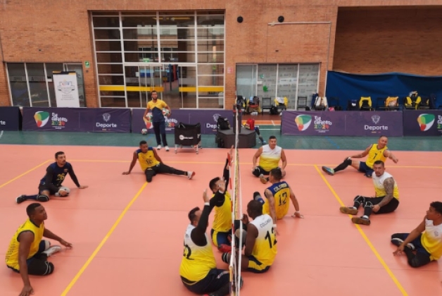 Voleibol sentado