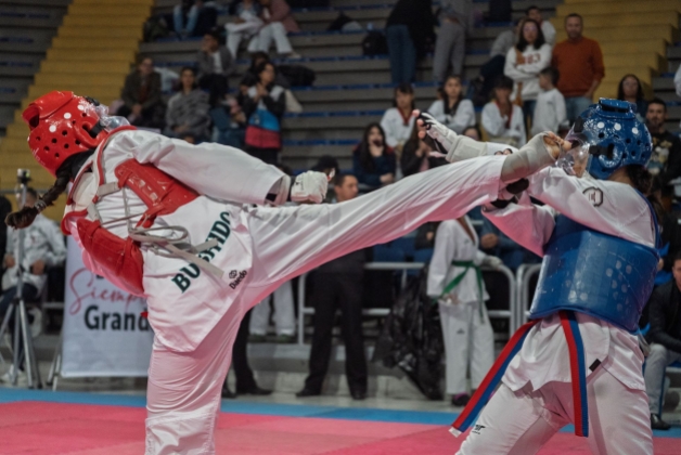 TAEKWONDO