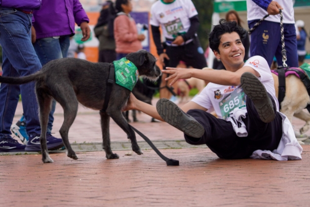 actividad CON MASCOTAS