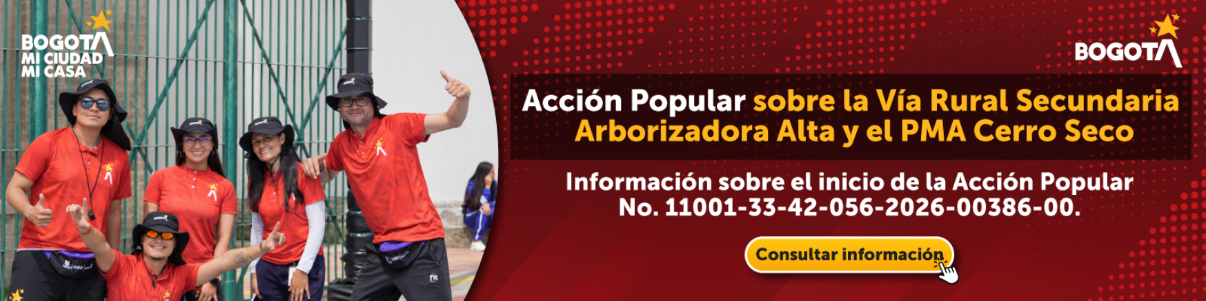 Banner Acción Popular No. 11001-33-42-056-2026-00386