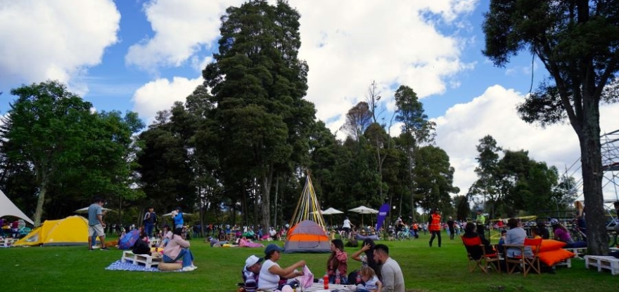 Festival Gastronómico