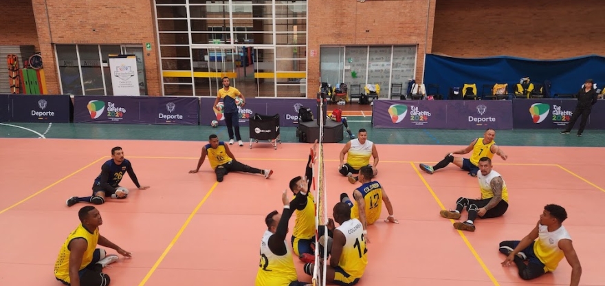 Voleibol sentado