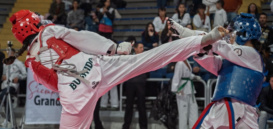 TAEKWONDO