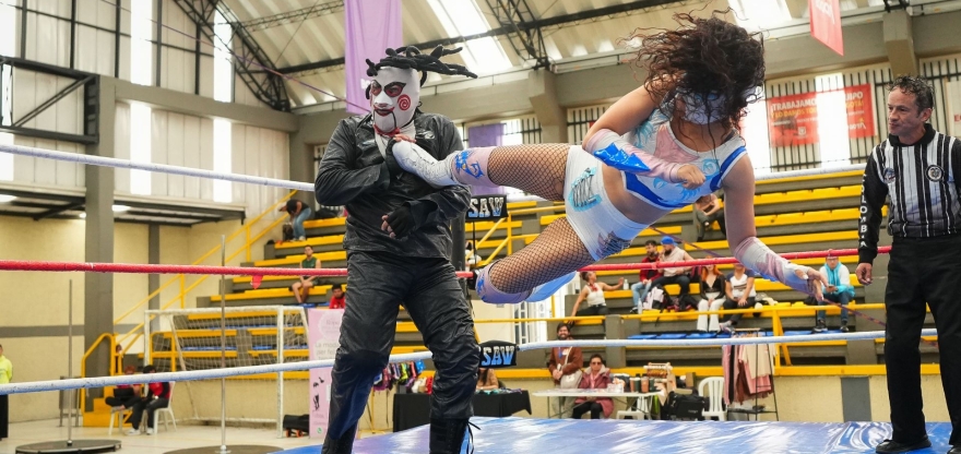 Lucha libre