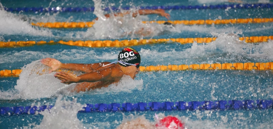 natación-carreras