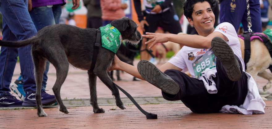 actividad CON MASCOTAS
