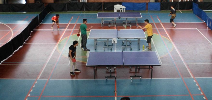 Tenis de Mesa