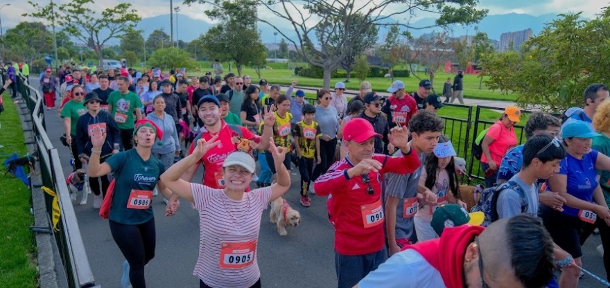 programa de atletismo running