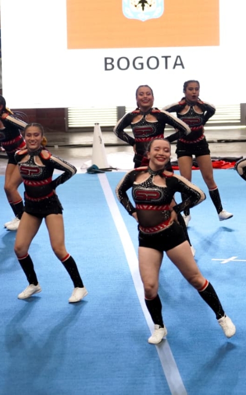 Porrismo-intercolegiados