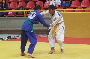 Competencia de Judo