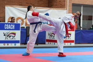 Competencia de Karate