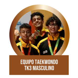 T3 Masculino
