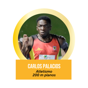 CArlos Palacios