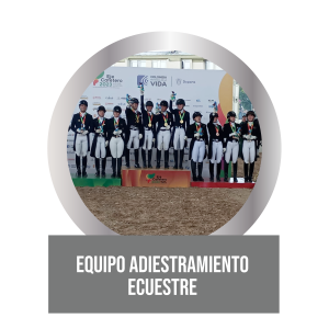 Equipo Adiestramiento