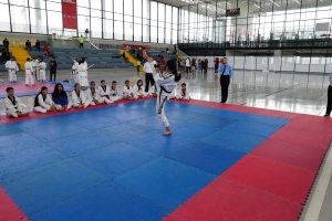 Actividad deportiva en Talento y reserva
