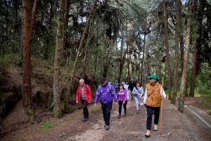 Varias personas caminando por un sendero rural