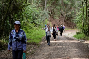 Varias personas caminando por un sendero rural