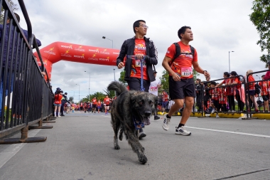 Carrera Atlética de Verano 3K y 10K