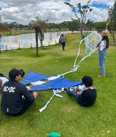 Festival de Cometas