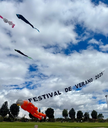 Festival de Cometas