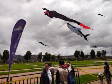Festival de Cometas