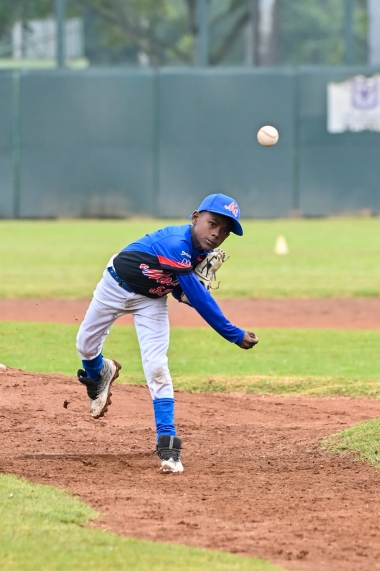 VII Serie Internacional de Béisbol
