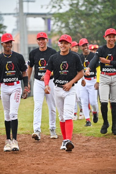 VII Serie Internacional de Béisbol