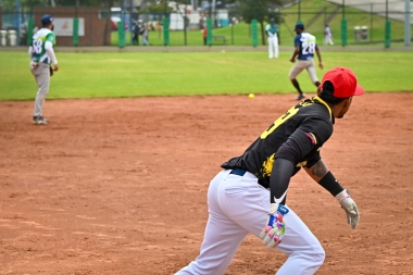 VII Serie Internacional de Béisbol