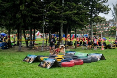 Villa Peluda en el Festival de Verano 2026
