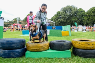 Villa Peluda en el Festival de Verano 2026