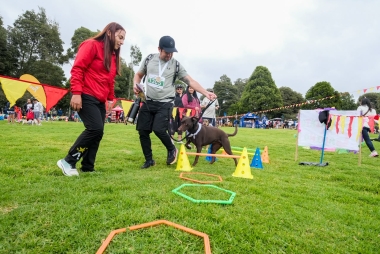 Villa Peluda en el Festival de Verano 2026