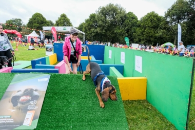 Villa Peluda en el Festival de Verano 2026