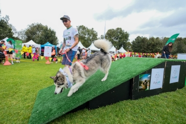 Villa Peluda en el Festival de Verano 2026