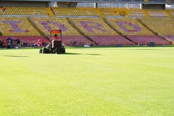 Gramilla del estadio El Campín