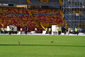 Gramilla del estadio El Campín