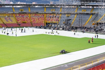 Gramilla del estadio El Campín