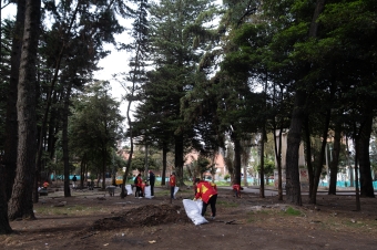 Jornada de fumigación y control de plagas