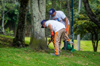 embellecimiento parque