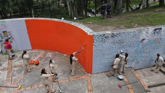 embellecimiento parque