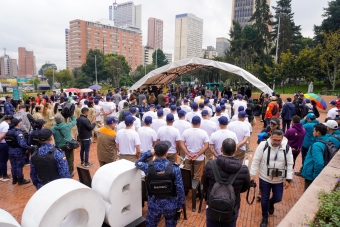 embellecimiento parque