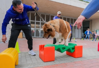 Bogotá vivió con éxito el Tercer Diálogo Ciudadano del IDRD, un encuentro para hablar de innovación y participación