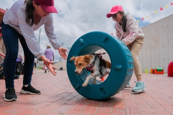 Bogotá vivió con éxito el Tercer Diálogo Ciudadano del IDRD, un encuentro para hablar de innovación y participación