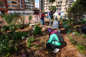 El IDRD transformó el Parque de los Hippies con una jornada de voluntariado, cultura ciudadana y embellecimiento