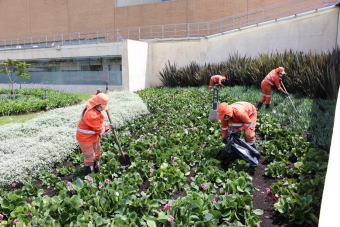 Operativo integral de aseo y mantenimiento en parques