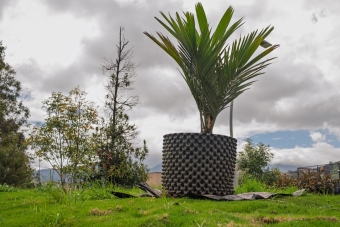 Fase II del Parque Santa Lucía