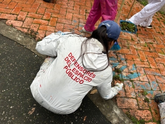Intervención en parques por parte del IDRD y el DADEP