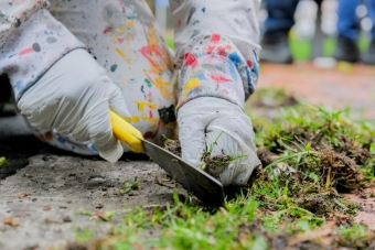Intervención en parques por parte del IDRD y el DADEP