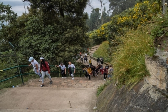 Sendero al Cerro de Monserrate