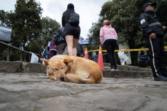 Sendero al Cerro de Monserrate